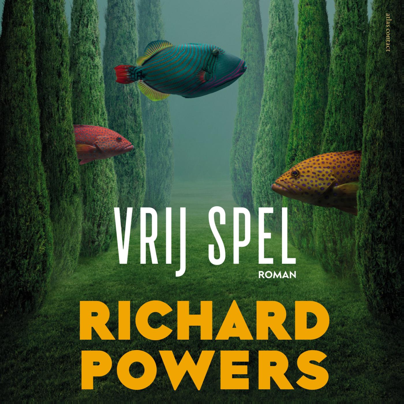 Omslag van Vrij spel