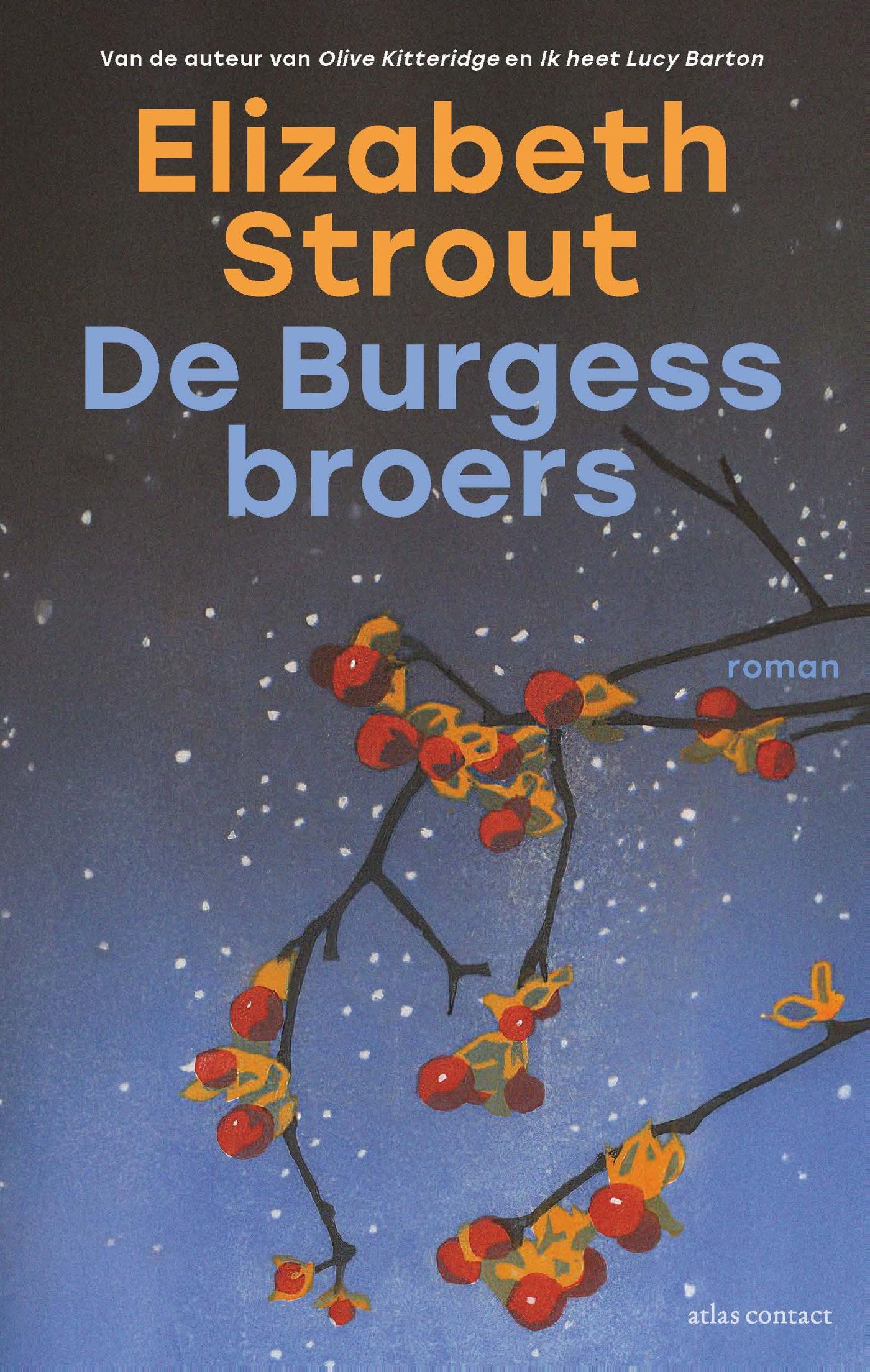 Omslag van De Burgess-broers