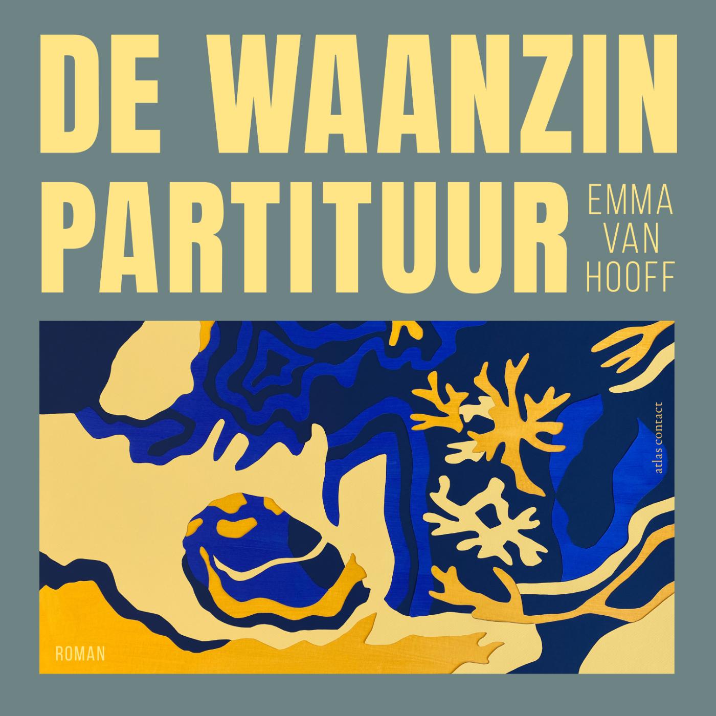 Omslag van De waanzinpartituur