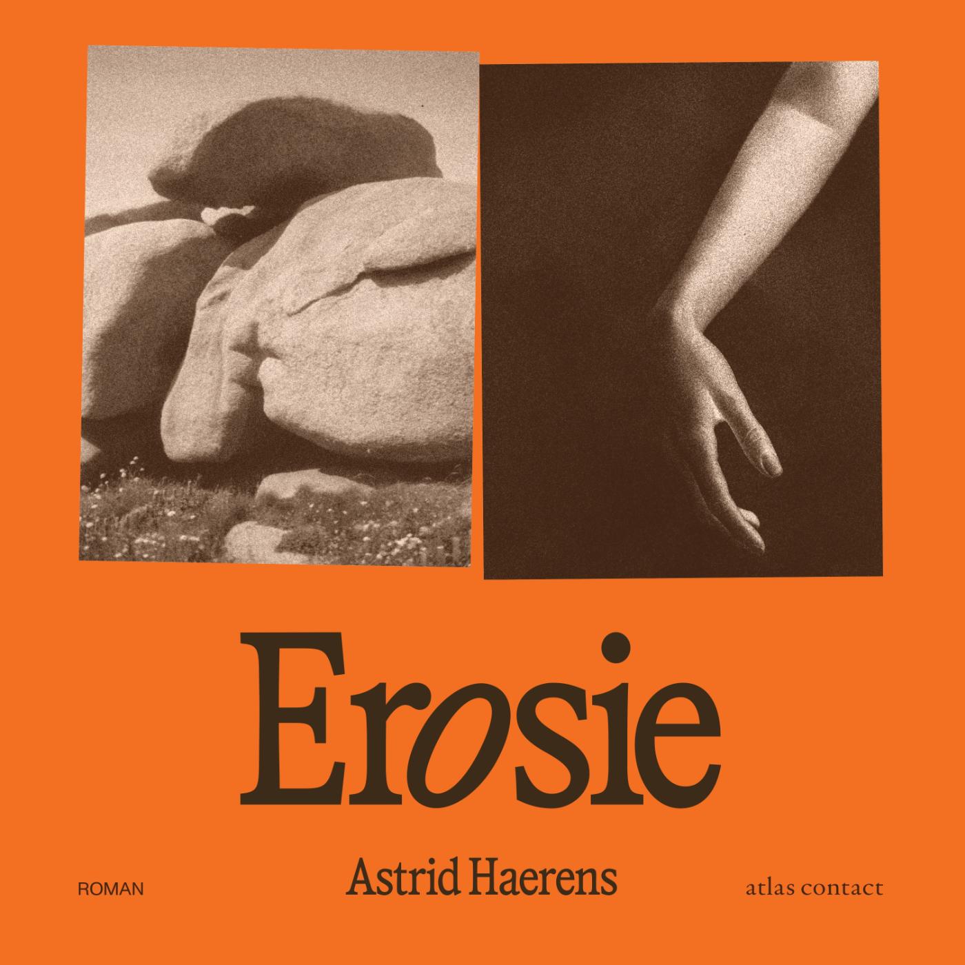 Omslag van Erosie