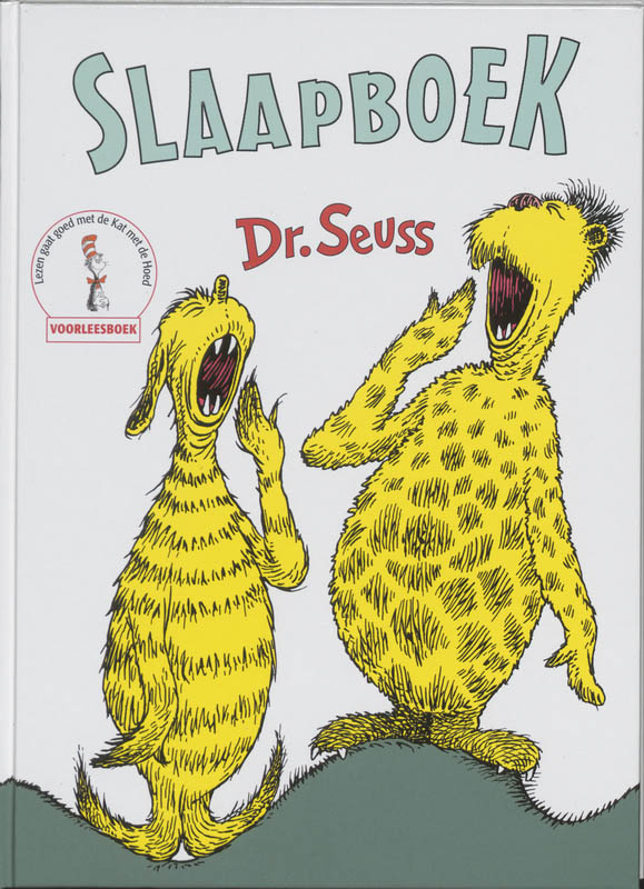 Omslag van Het slaapboek