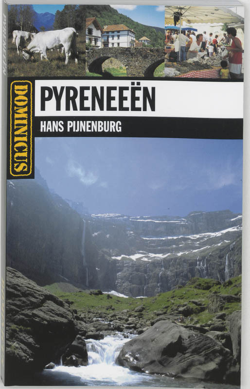 Omslag van Pyreneeen