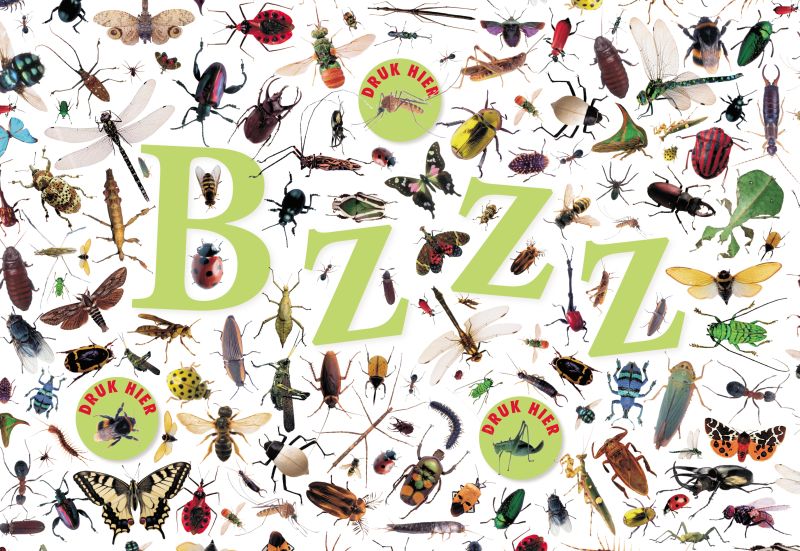 Omslag van Bzzz