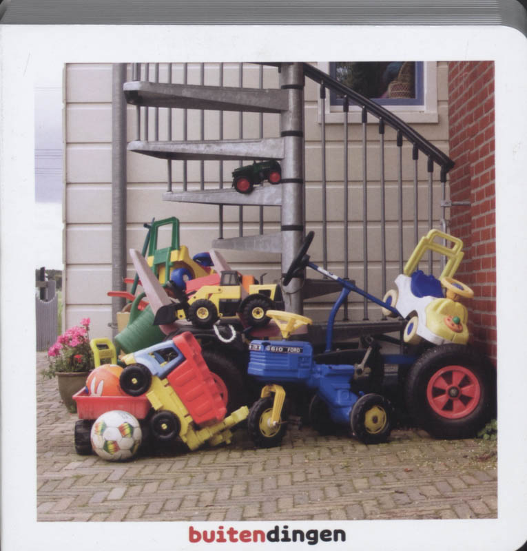 Omslag van Buitendingen