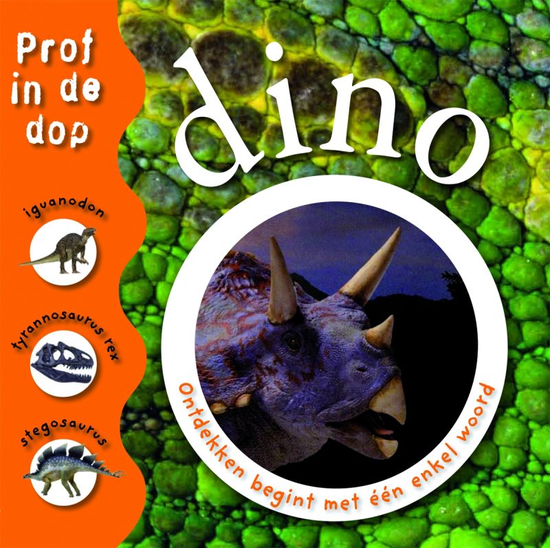 Omslag van Dino