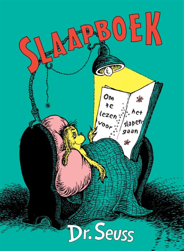 Omslag van Slaapboek