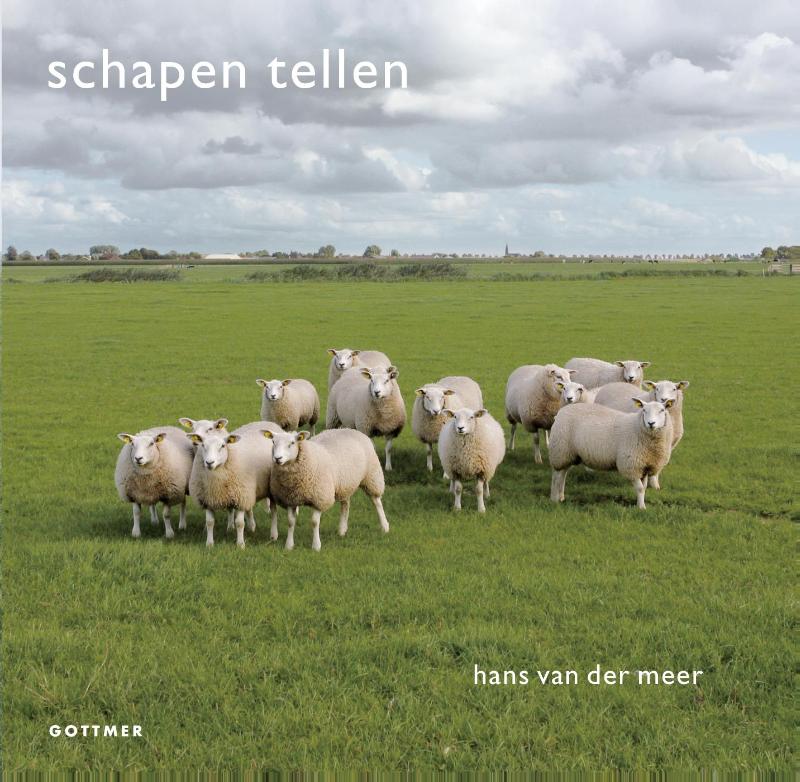 Omslag van Schapen tellen