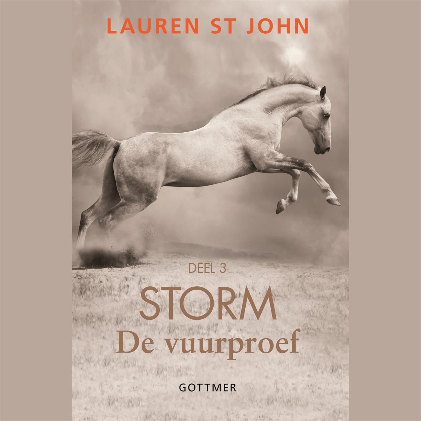 Omslag van De vuurproef
