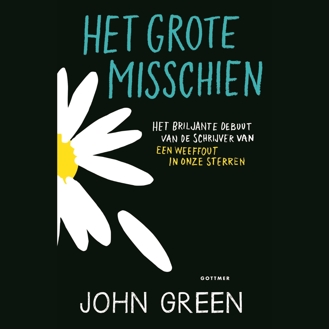 Omslag van Het grote misschien