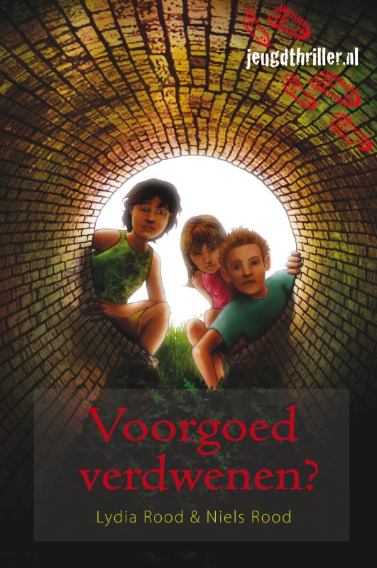 Omslag van Voorgoed verdwenen?