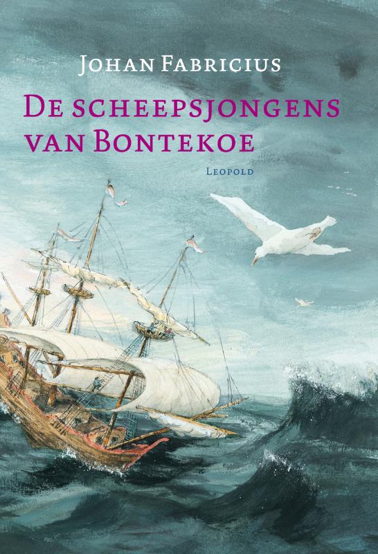 Omslag van De scheepsjongens van Bontekoe