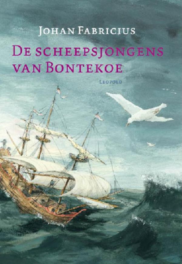 Omslag van De scheepsjongens van Bontekoe