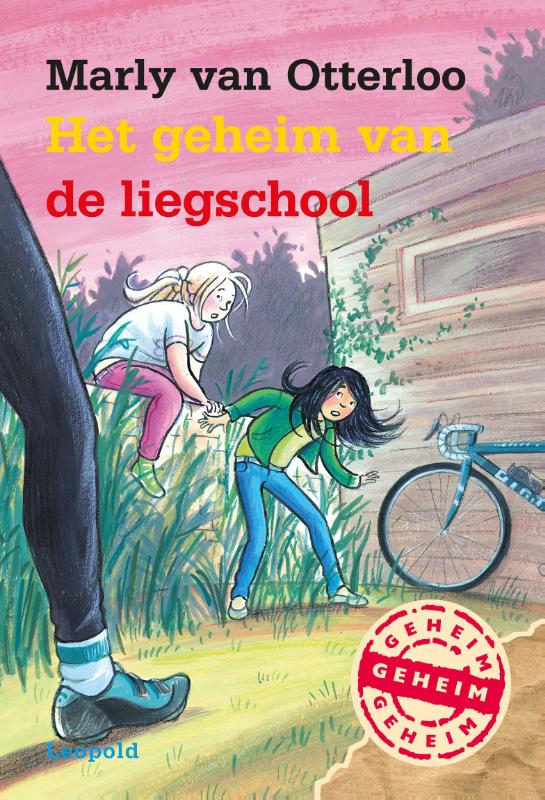 Omslag van Het geheim van de liegschool