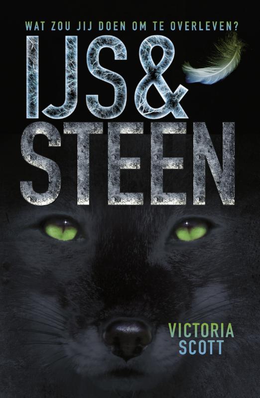 Omslag van IJs en steen