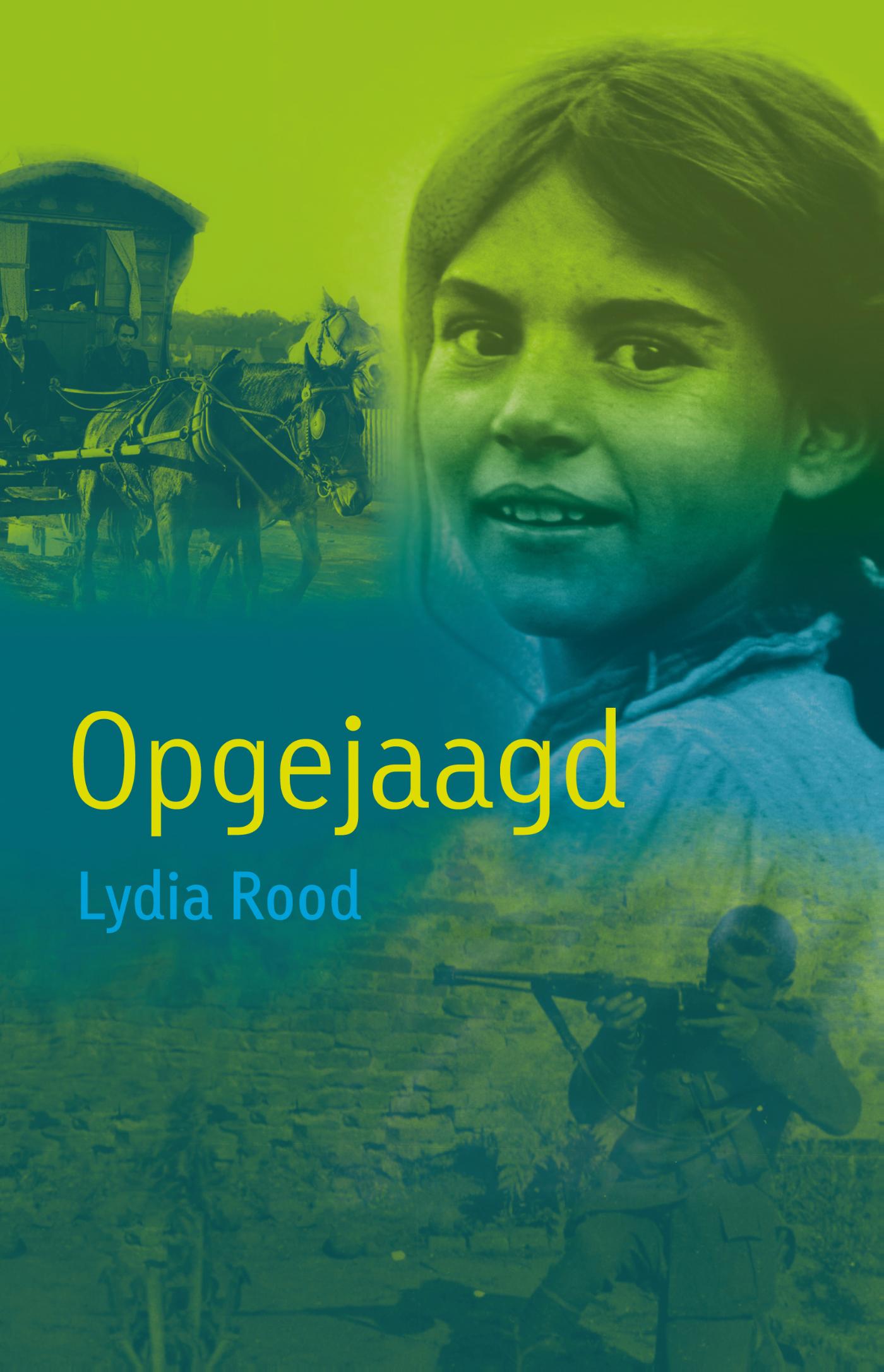 Omslag van Opgejaagd
