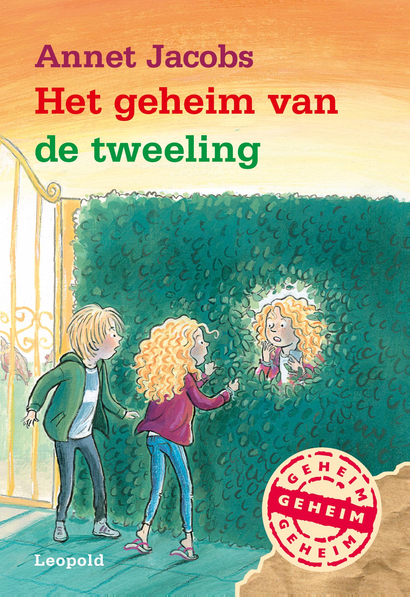 Omslag van Het geheim van de tweeling