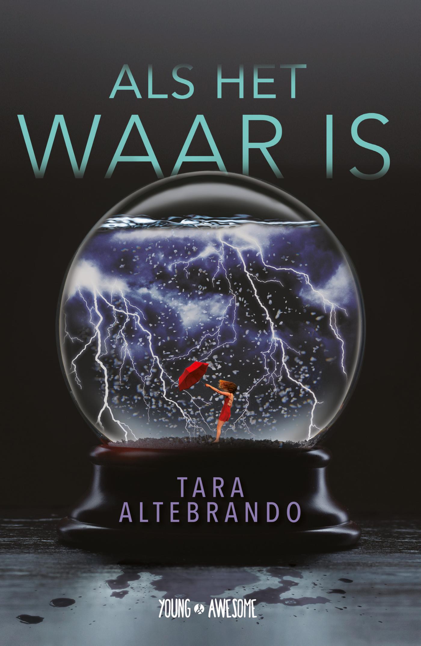 Omslag van Als het waar is