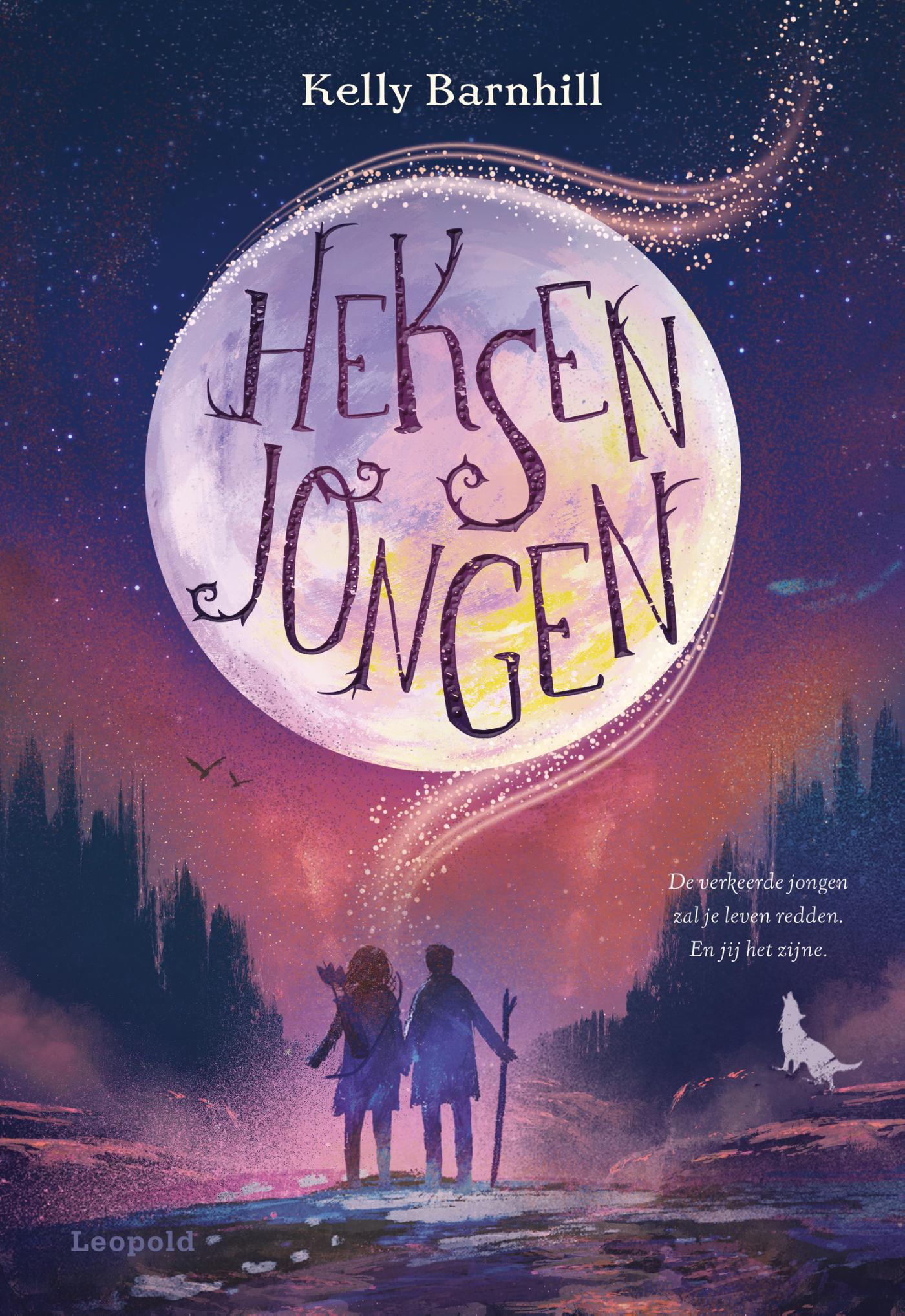 Omslag van Heksenjongen