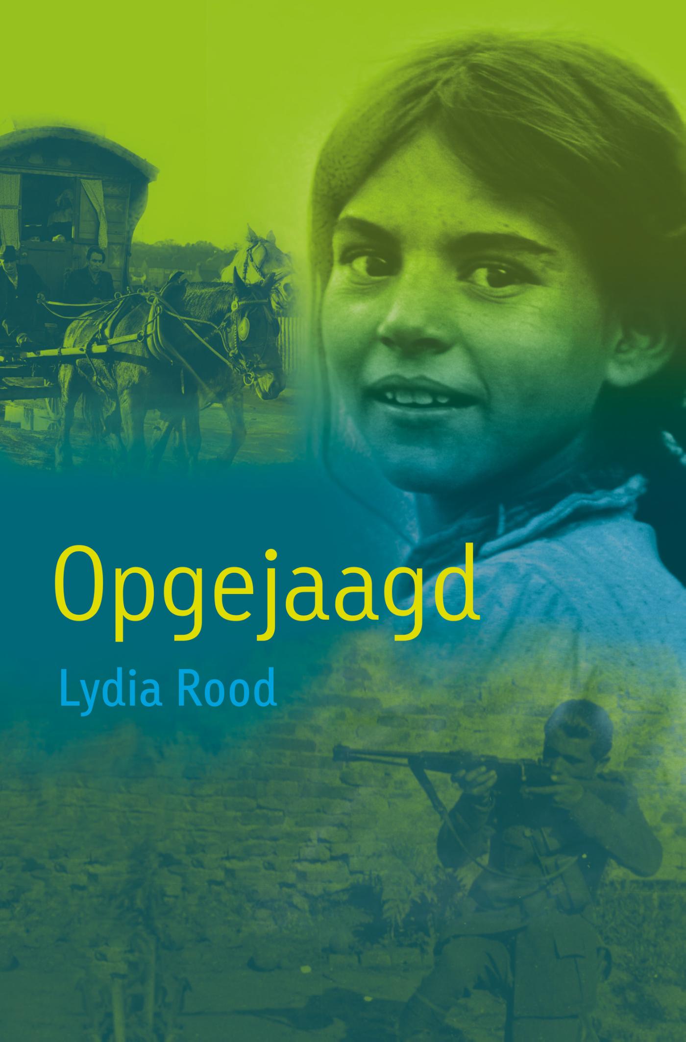 Omslag van Opgejaagd