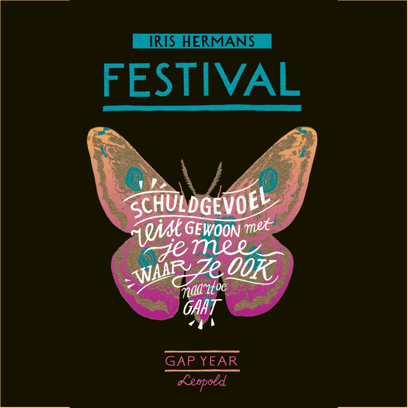 Omslag van Gap Year - Festival
