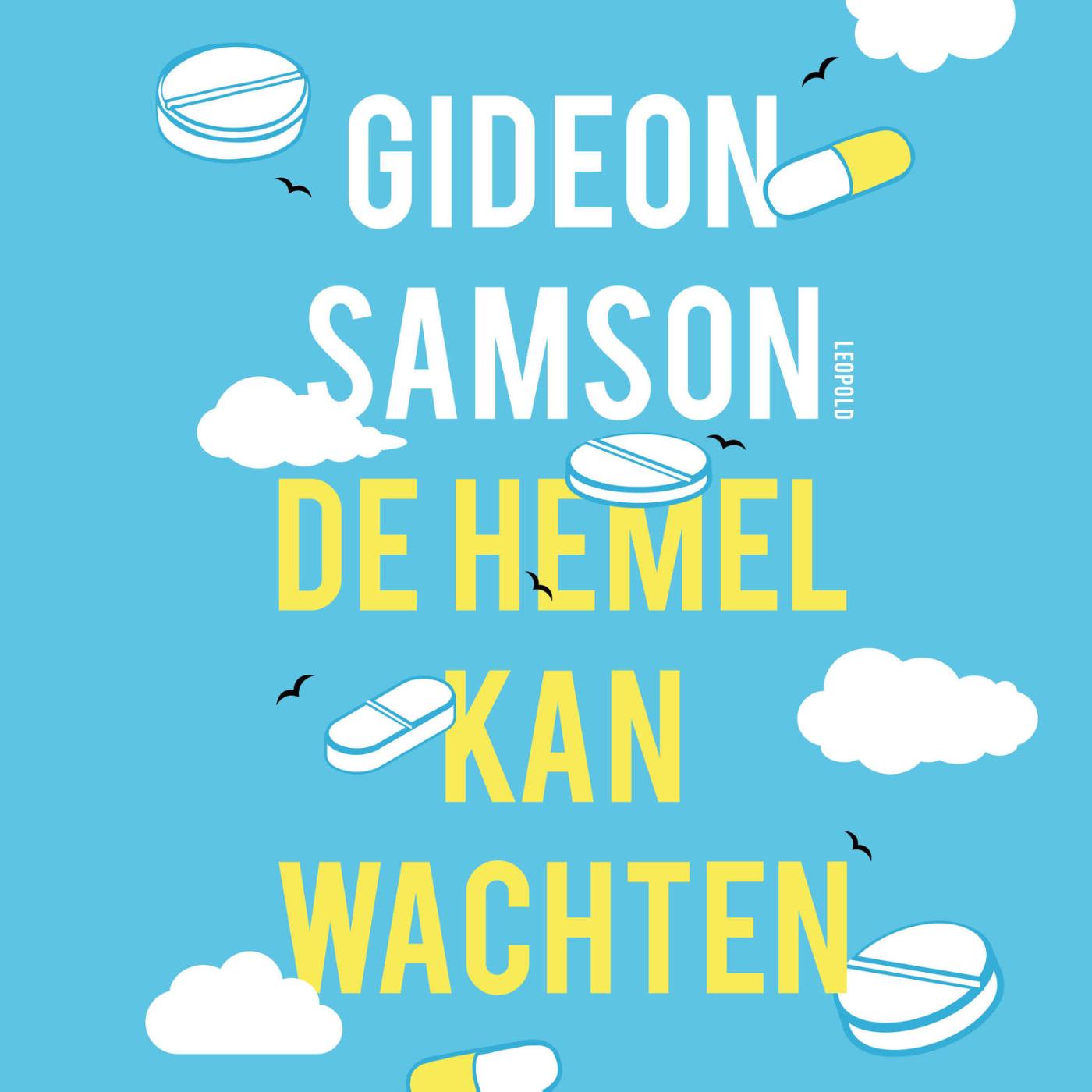 Omslag van De hemel kan wachten