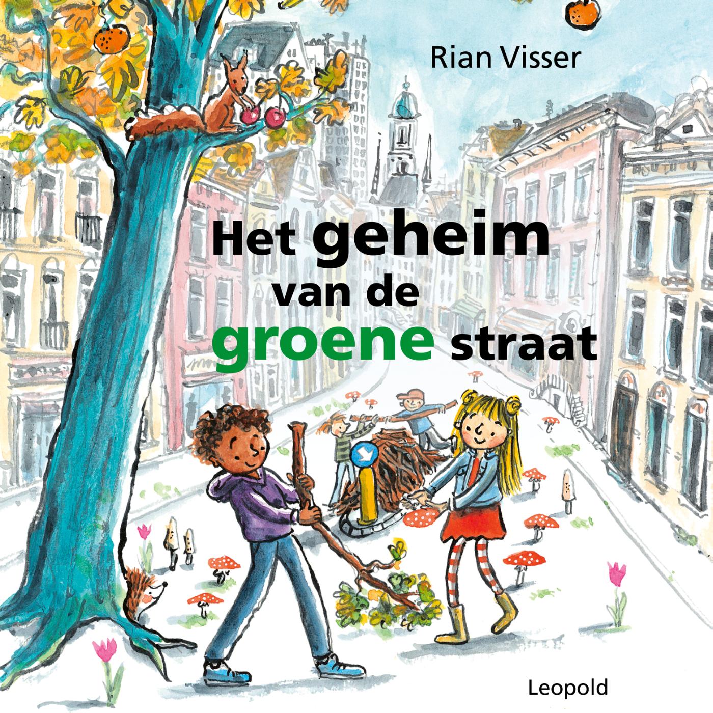 Omslag van Het geheim van de groene straat