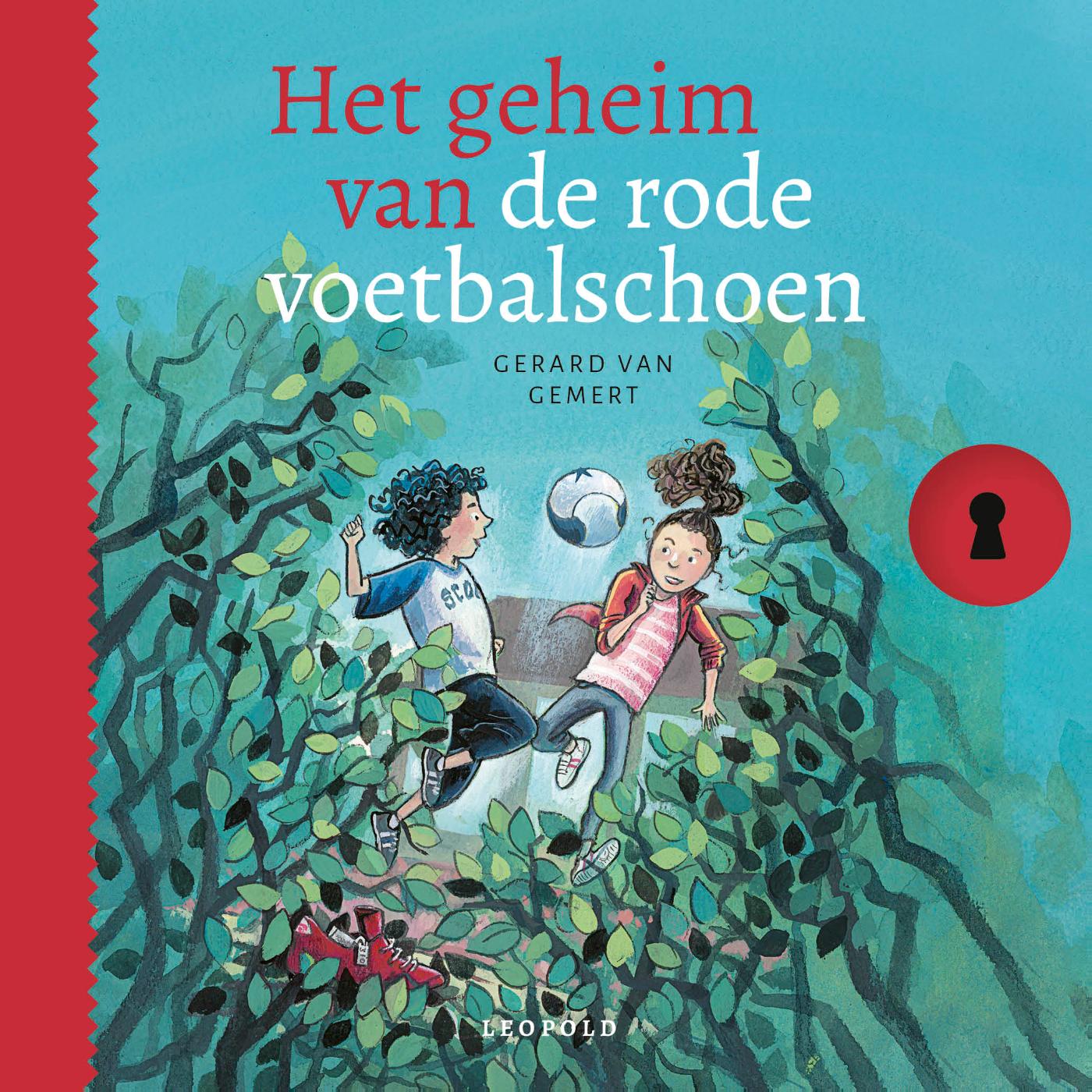Omslag van Het geheim van de rode voetbalschoen