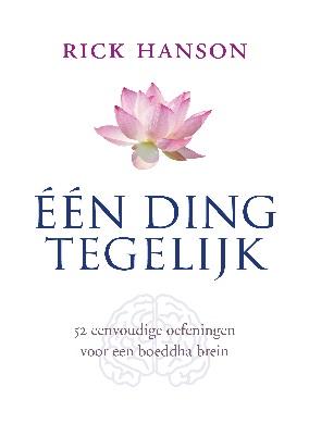 Omslag van Een ding tegelijk