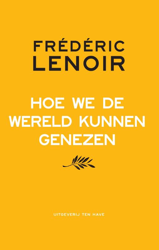 Omslag van Hoe we de wereld kunnen genezen