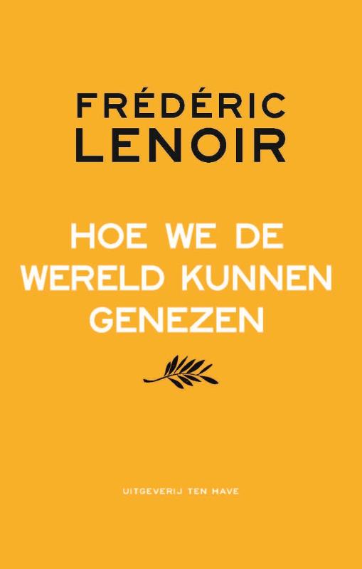 Omslag van Hoe we de wereld kunnen genezen