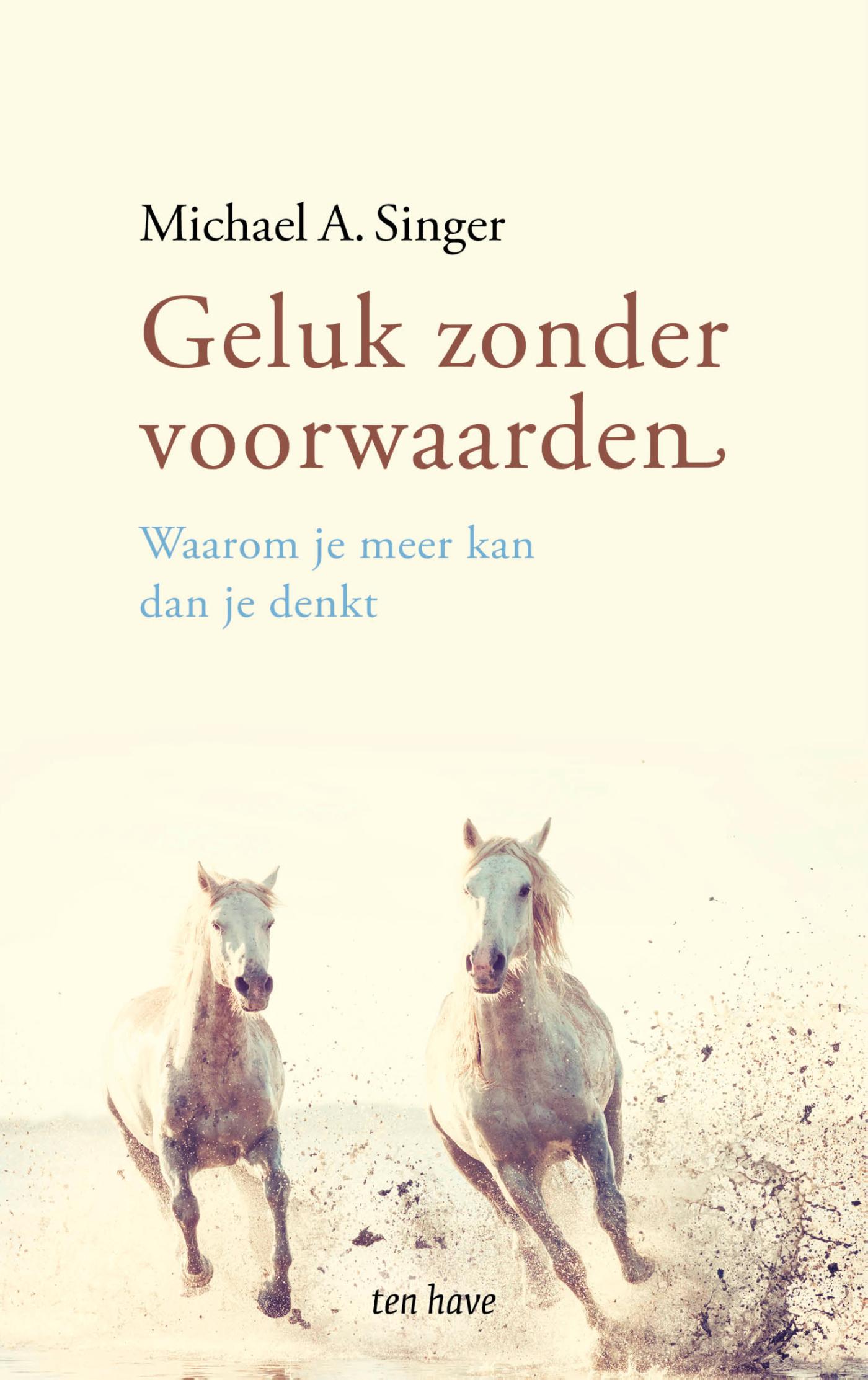Omslag van Geluk zonder voorwaarden