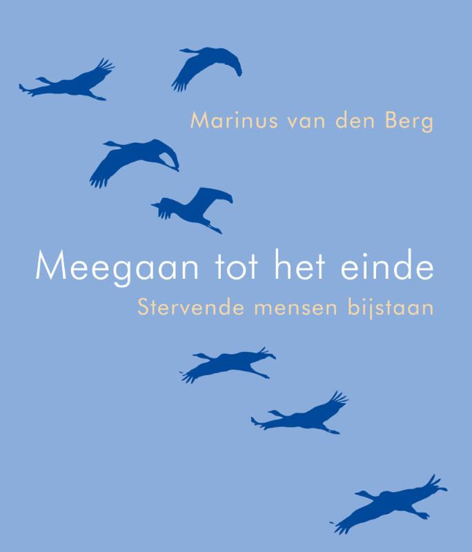 Omslag van Meegaan tot het einde
