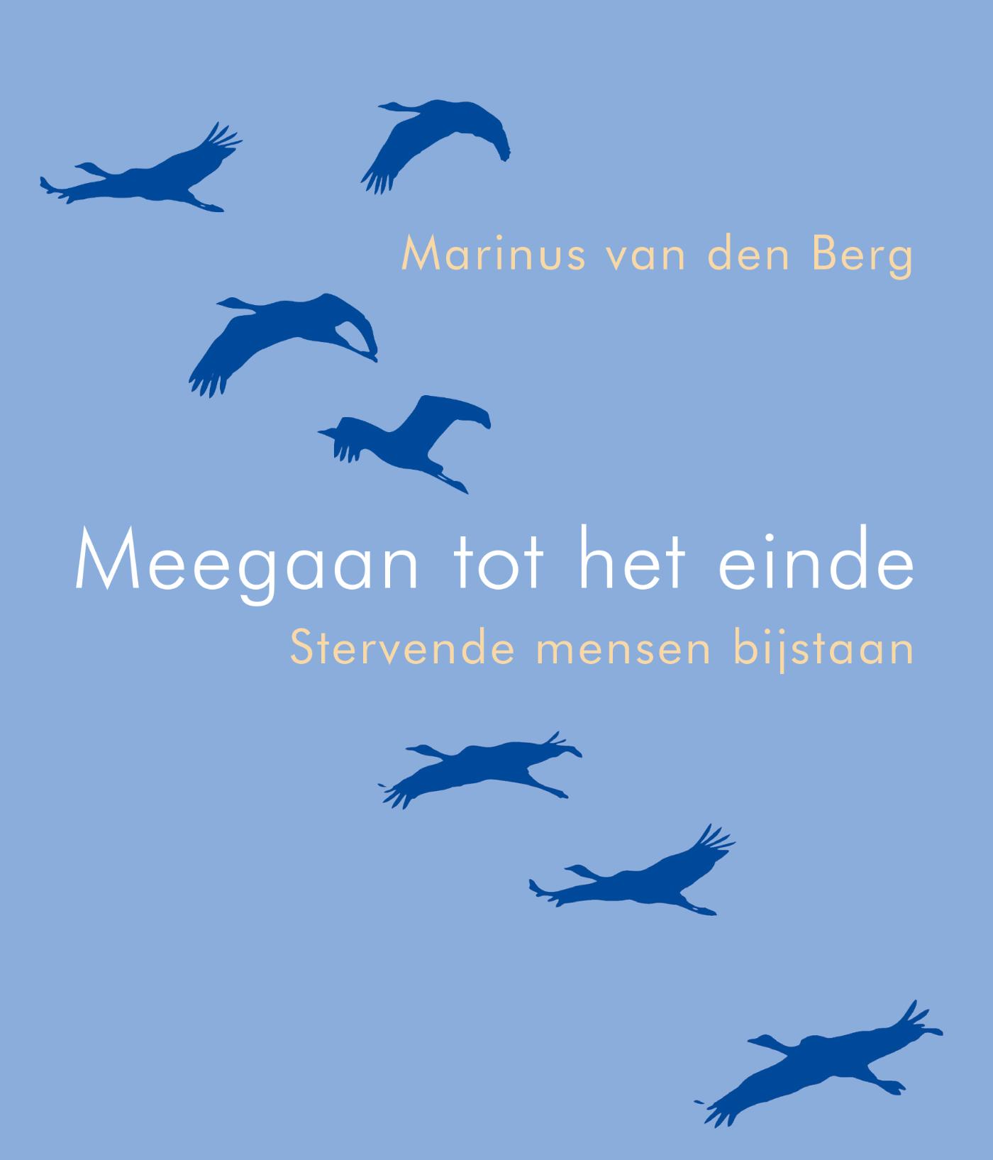 Omslag van Meegaan tot het einde