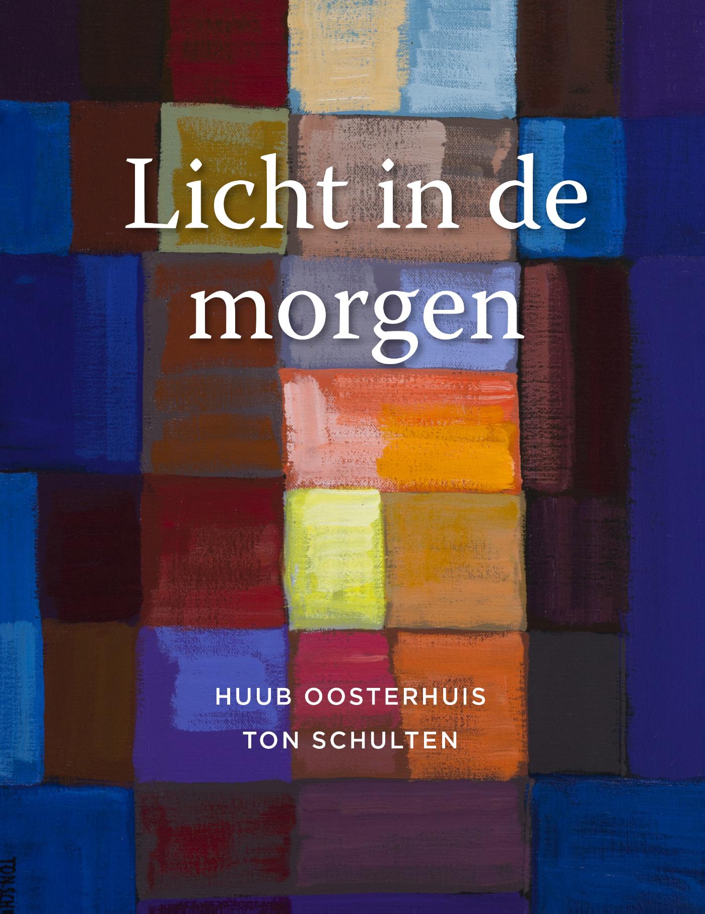 Omslag van Licht in de morgen