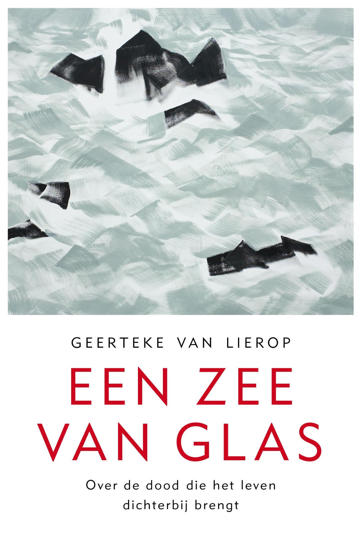 Omslag van Een zee van glas