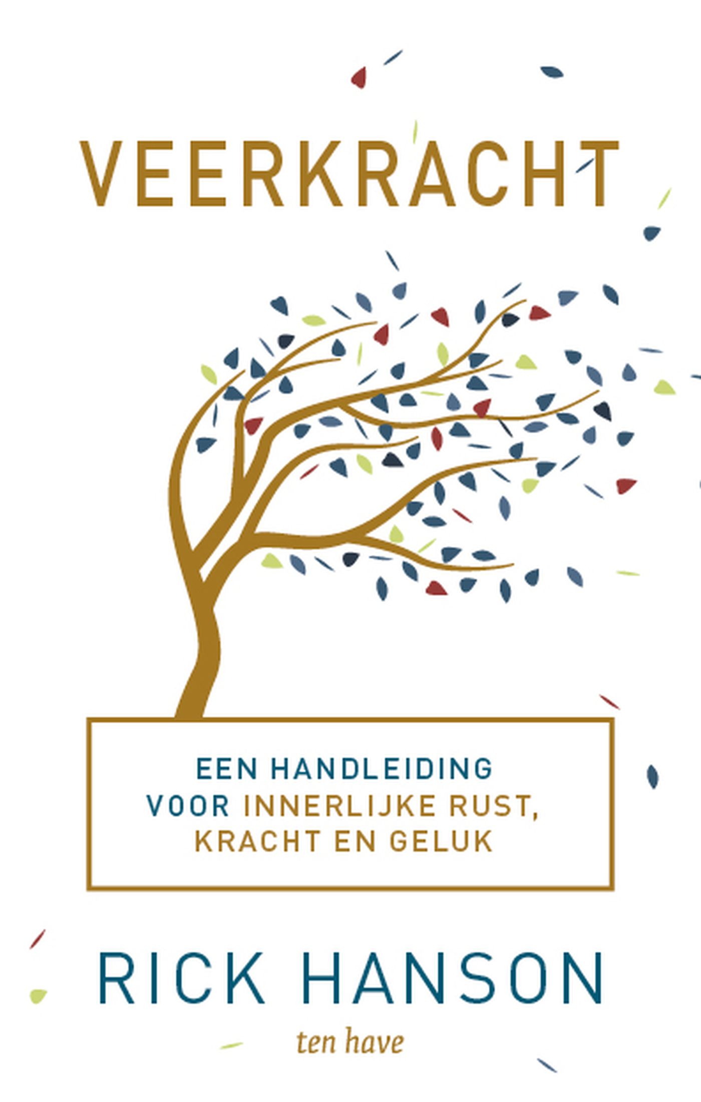 Omslag van Veerkracht