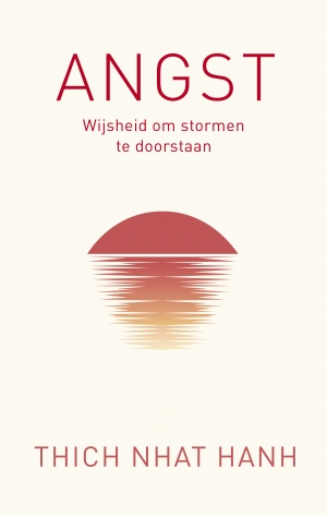 Omslag van Angst