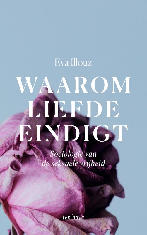 Omslag van Waarom liefde eindigt