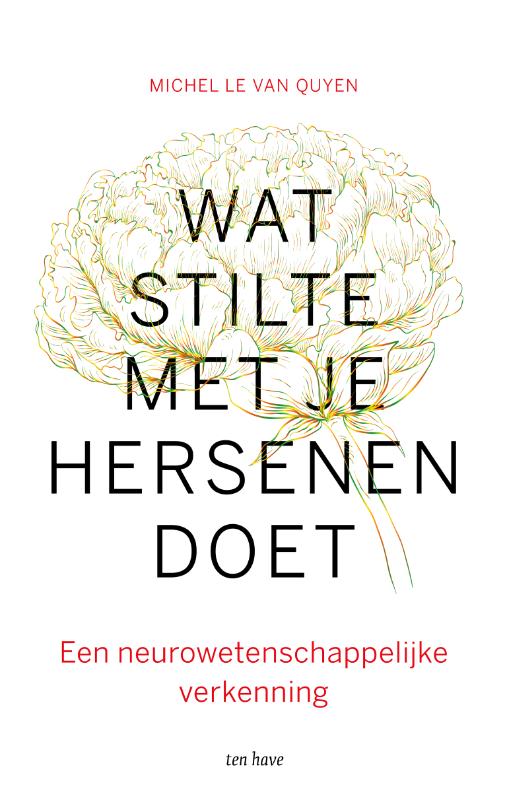 Omslag van Wat stilte met je hersenen doet