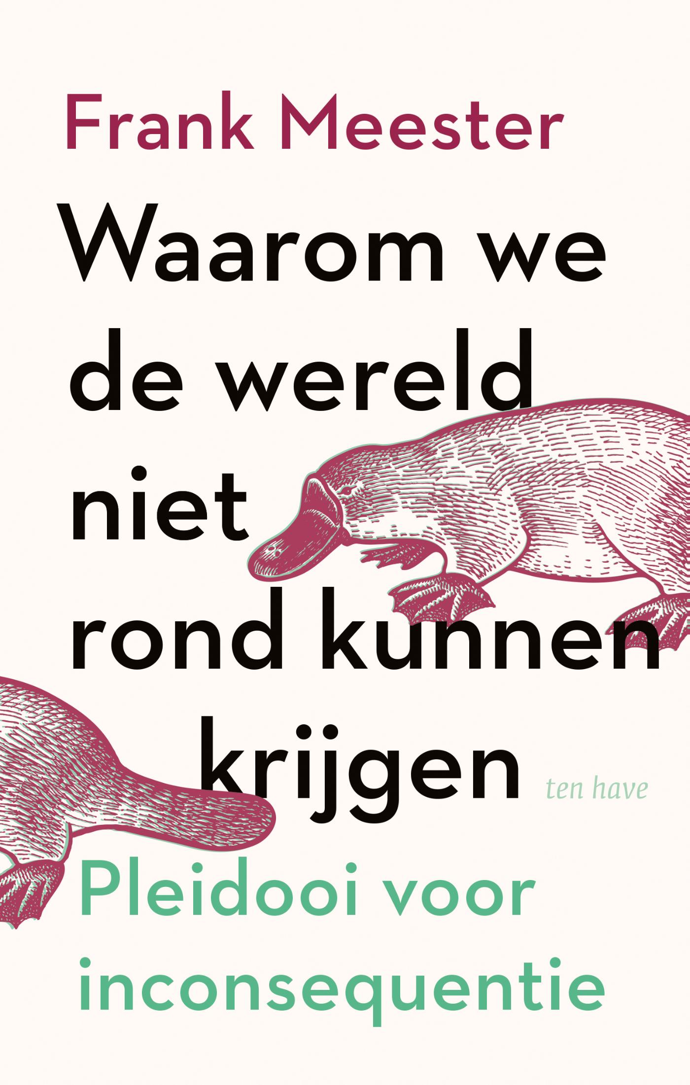 Omslag van Waarom we de wereld niet rond kunnen krijgen