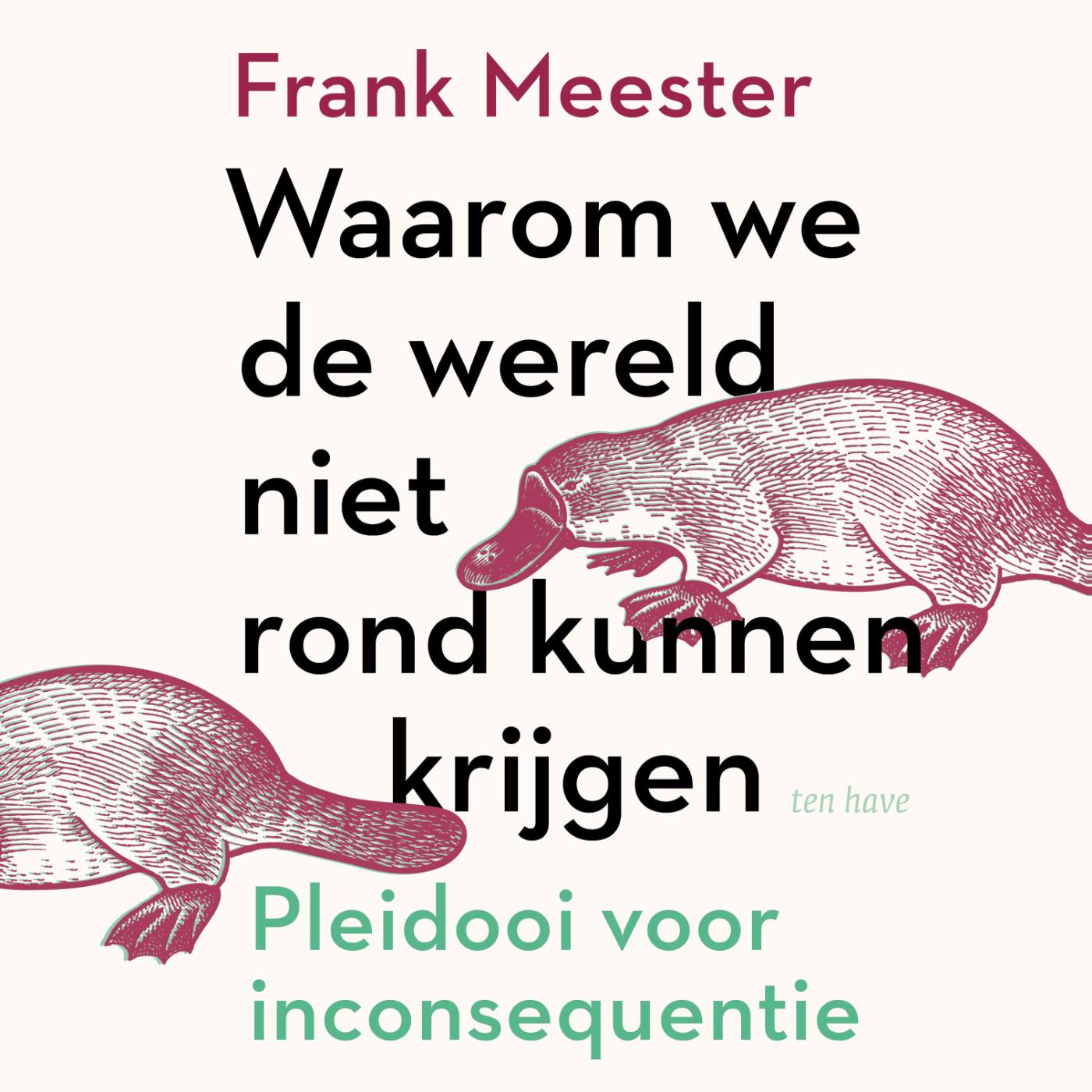 Omslag van Waarom we de wereld niet rond kunnen krijgen
