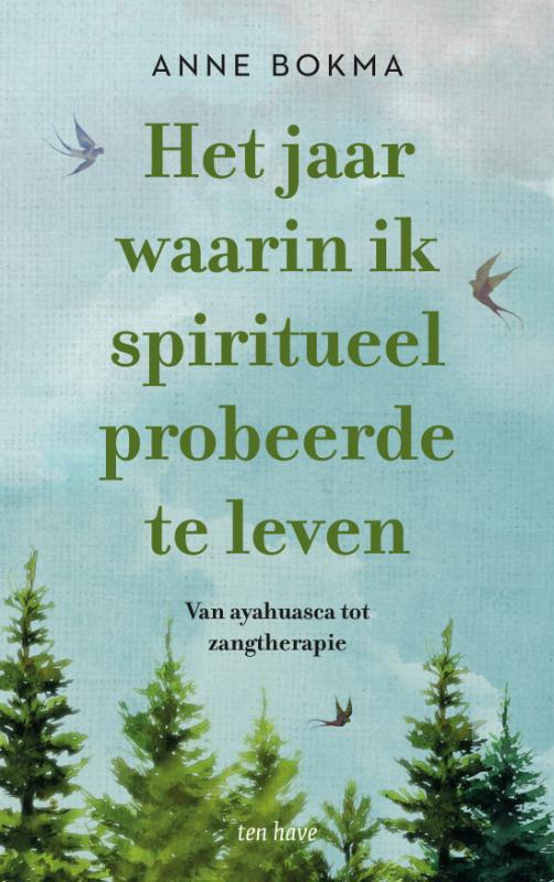 Omslag van Het jaar waarin ik spiritueel probeerde te leven