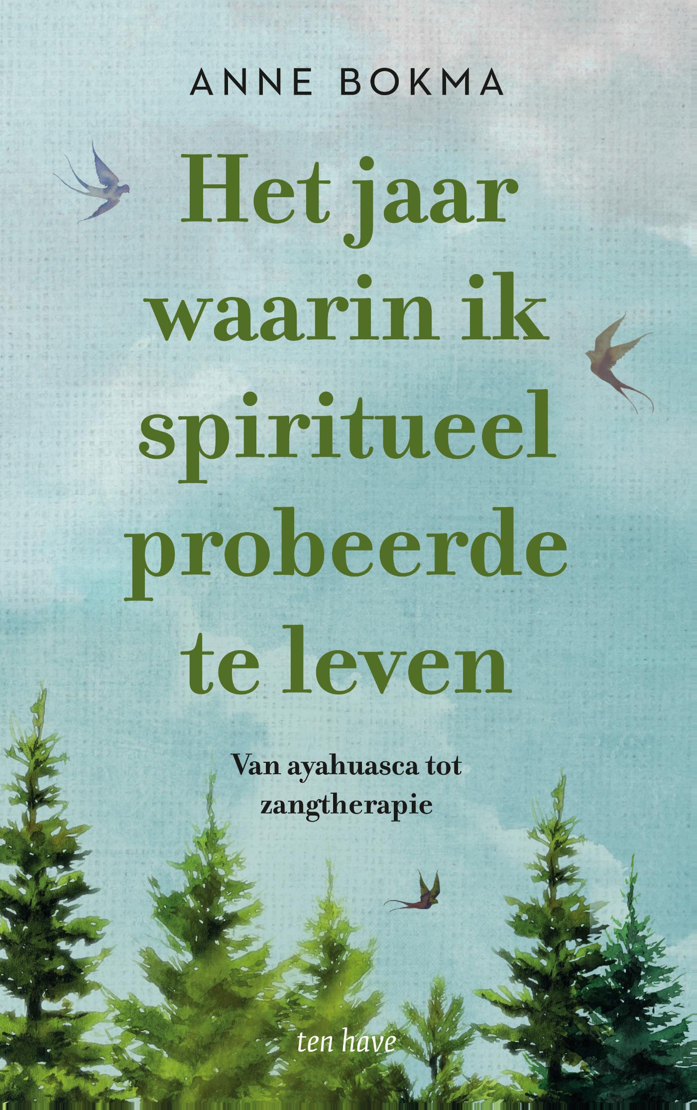 Omslag van Het jaar waarin ik spiritueel probeerde te leven