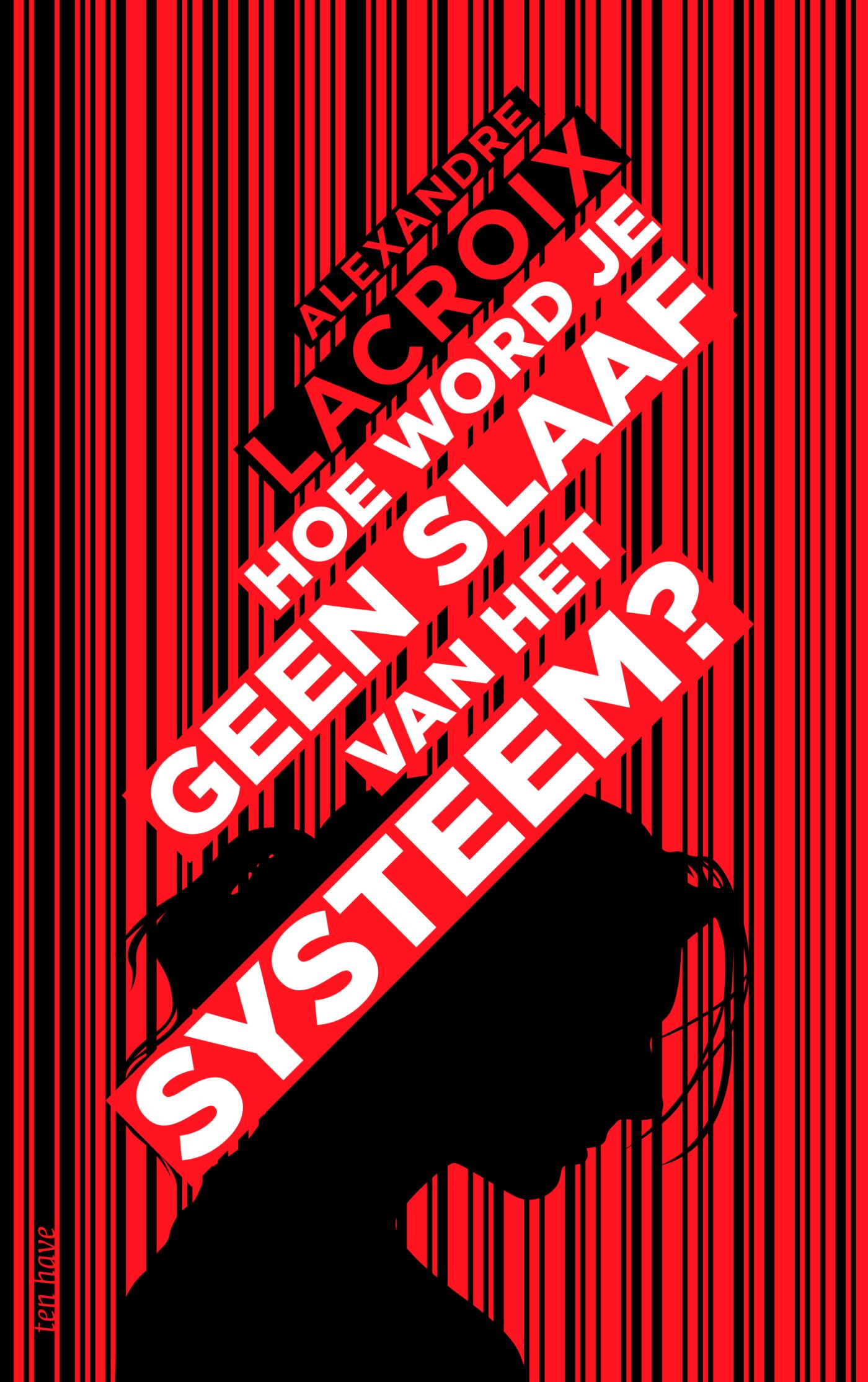 Omslag van Hoe word je geen slaaf van het systeem?