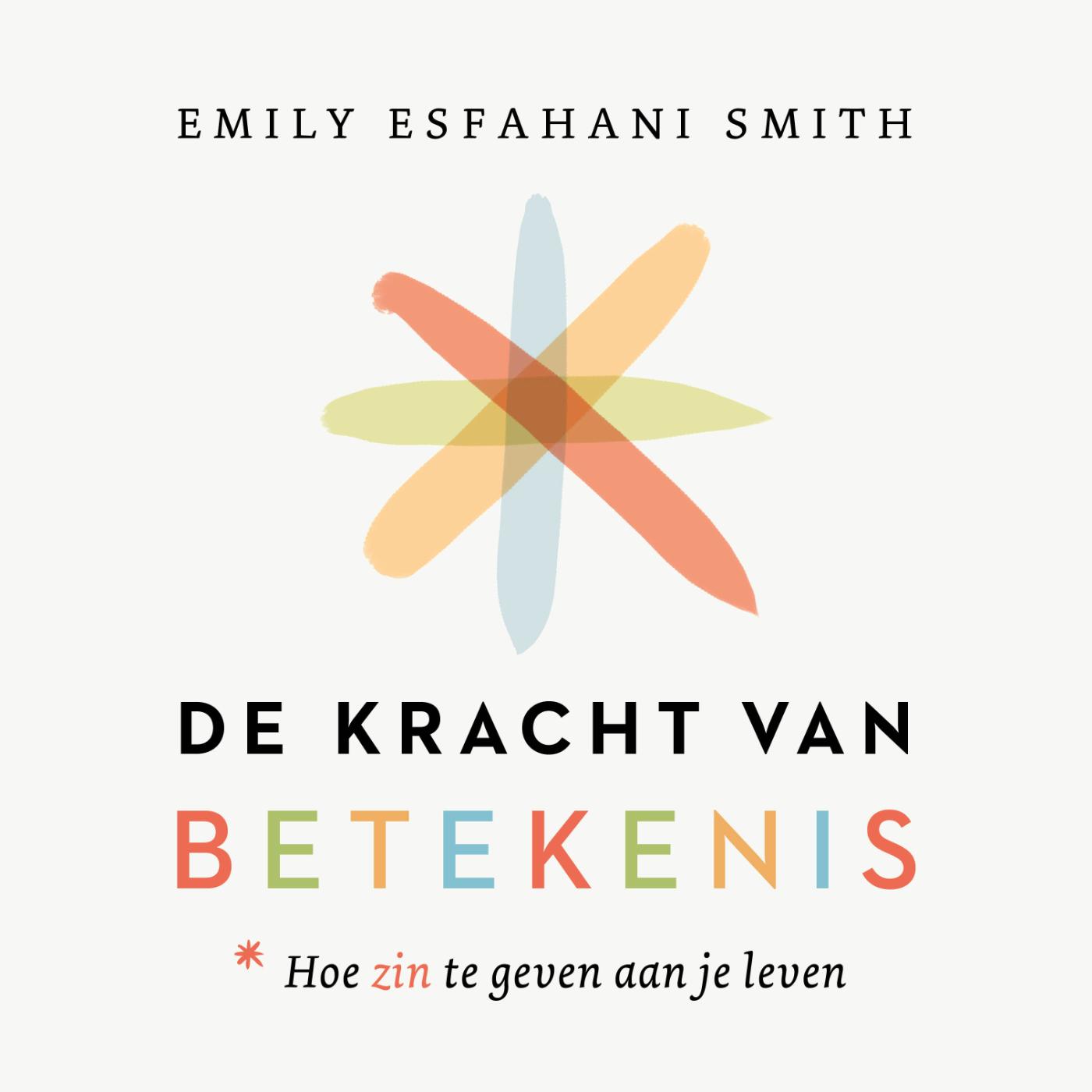 Omslag van De kracht van betekenis