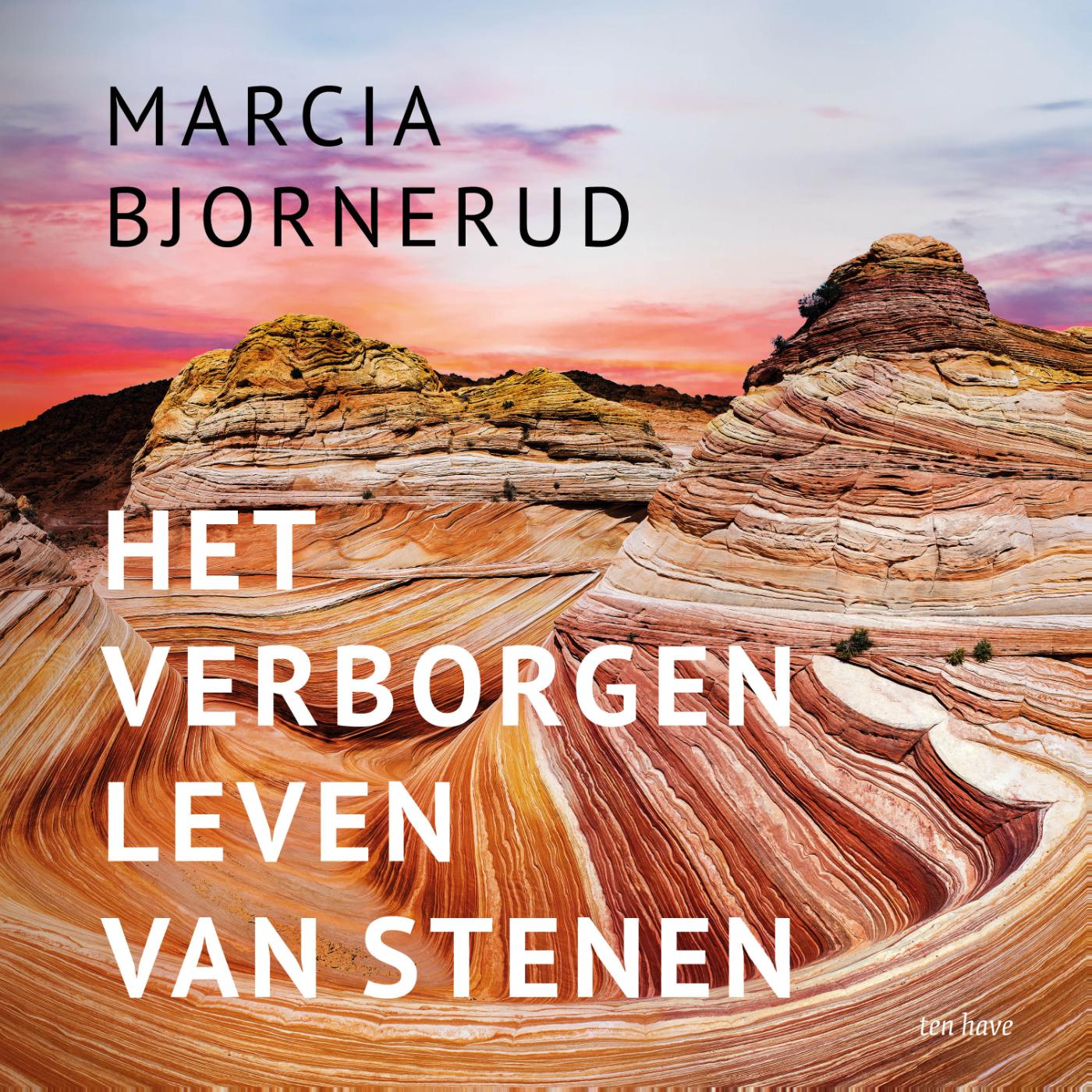 Omslag van Het verborgen leven van stenen