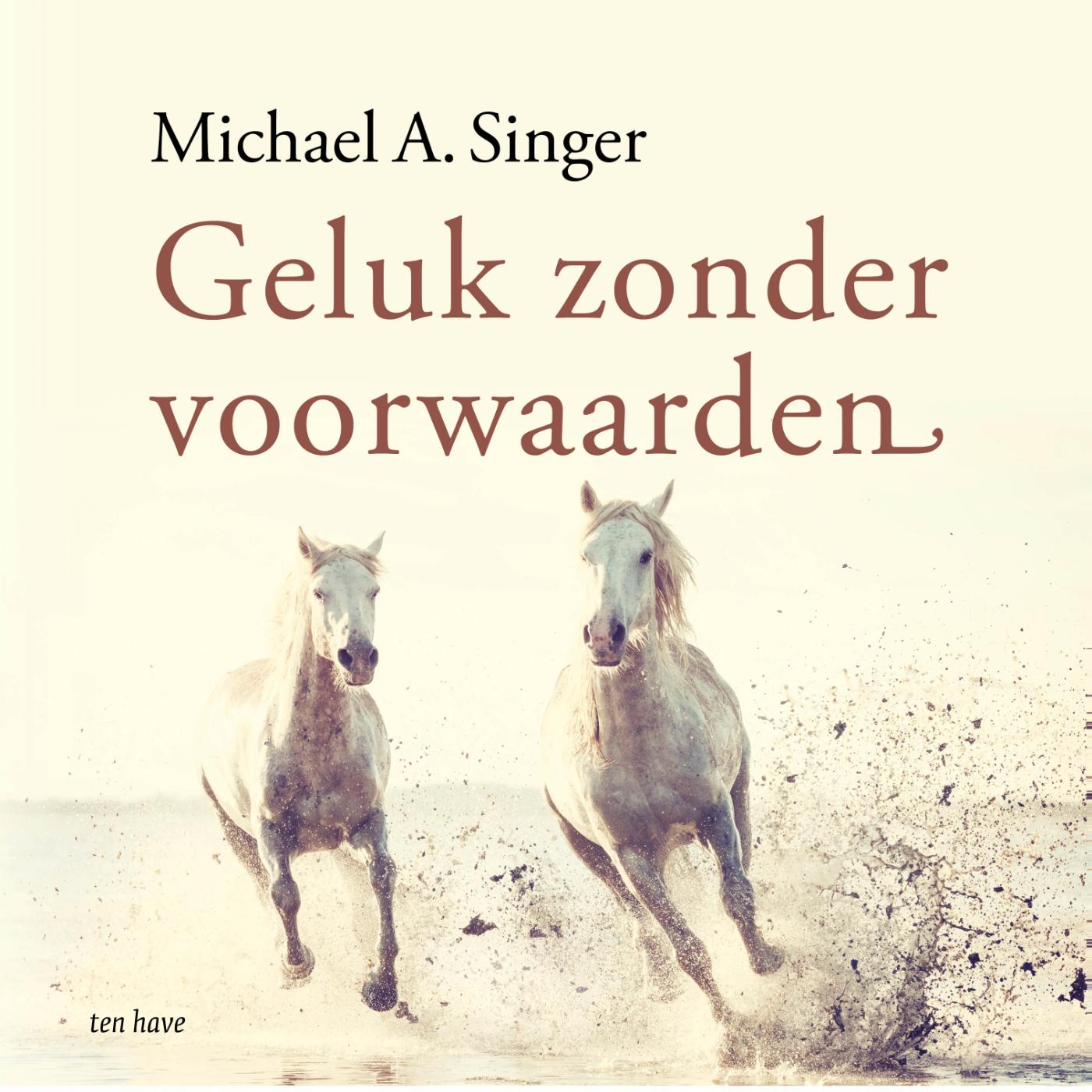 Omslag van Geluk zonder voorwaarden