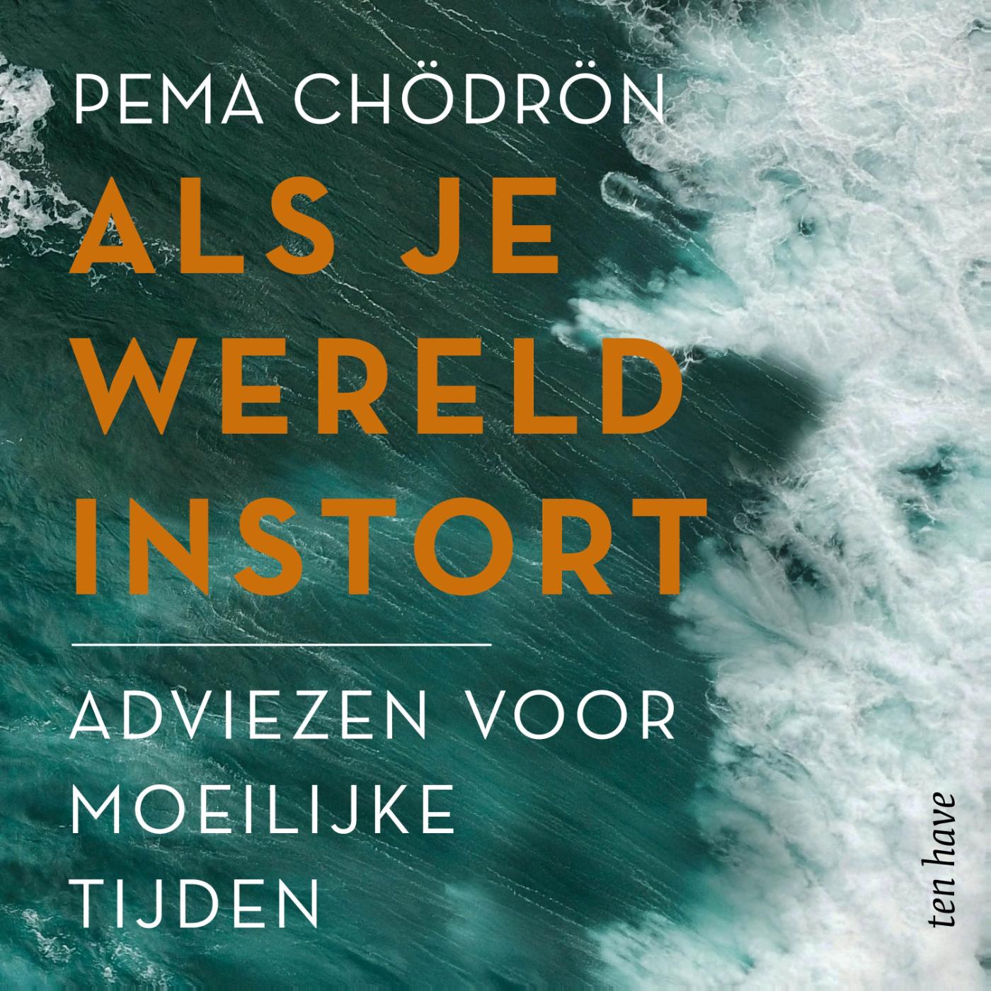 Omslag van Als je wereld instort