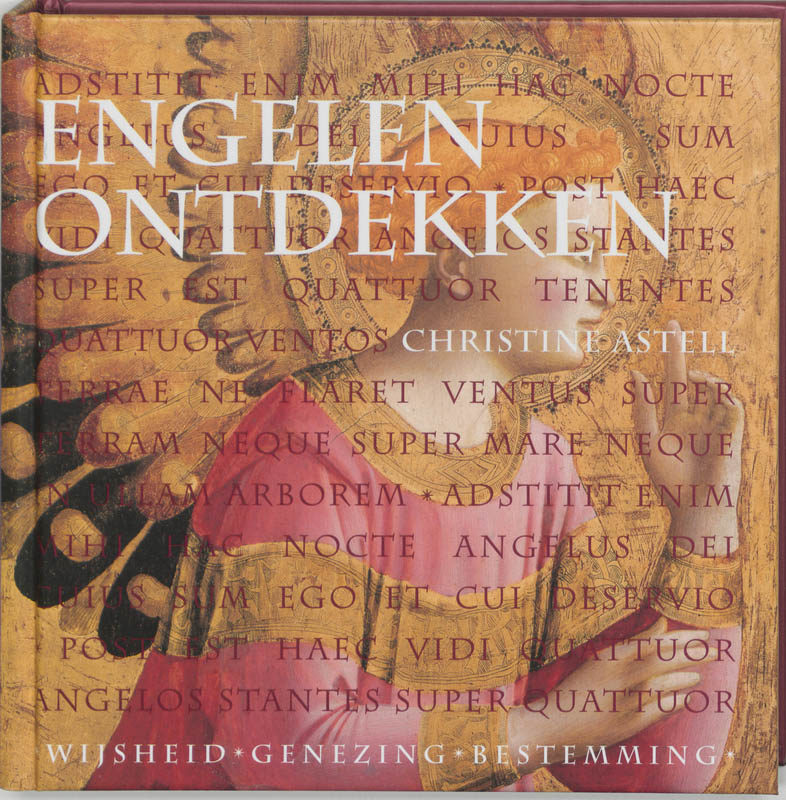 Omslag van Engelen ontdekken