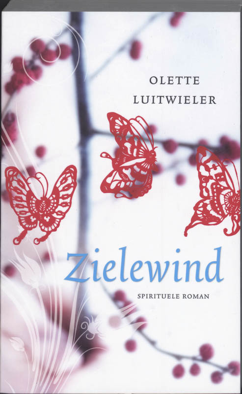 Omslag van Zielewind